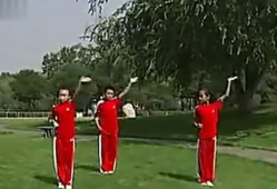 武术操视频,传统武术与现代健身的完美融合