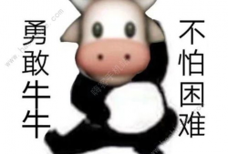 牛牛在线观看视频,畅享海量视频，轻松开启视听盛宴
