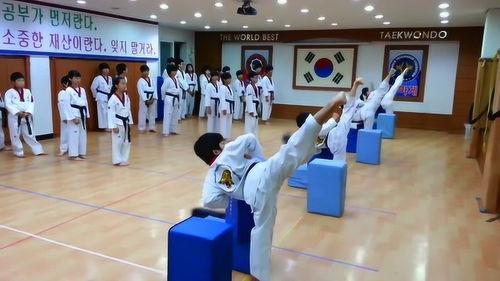 跆拳道视频,从视频中汲取精华